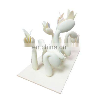 High Precise SLA 3D Printing Rapid Prototype 3D Printing Resin Custom Medical Teaching Model photo-5