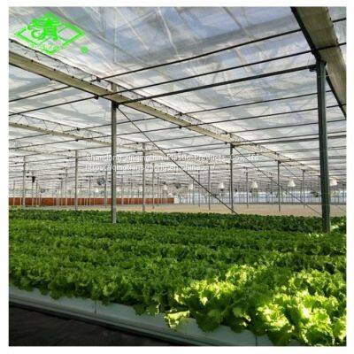 Hot Sale UV-protection Plastic Sheed 3-5 Layers Clear Anti-fog Plastic Film Covering Greenhouse photo-3