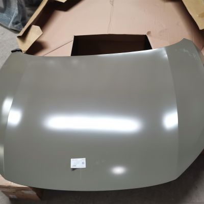 Engine hood SX5G-8402030