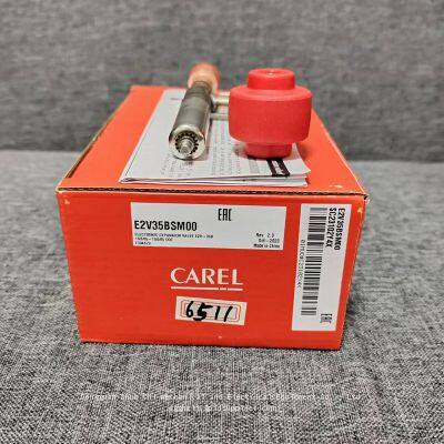 CAREL Electronic ExpanE2V35BSM00