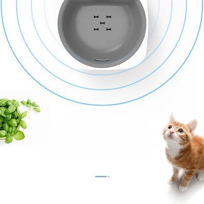 Smart Motion-Activated Pet Water Fountain - 3-Side Infrared Sensor & Rechargeable Automatic Circulating Drinker for Cat
