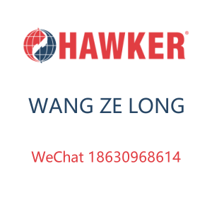 HAWKER BATTERY GROUP LTD
