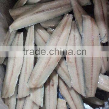 Spanish Mackerel King Fish Fillet