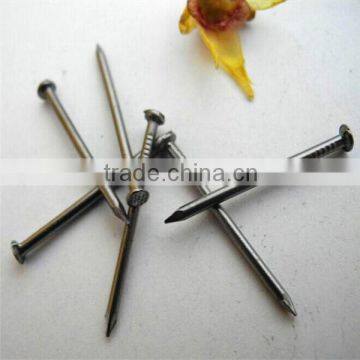 Low Price Wire Nails Manufacture in China/Polished Common Iron Nail photo-4