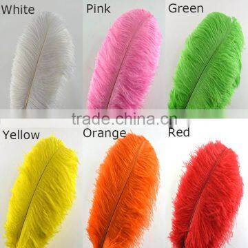 Colourful Ostric Hair , Dyed Feather ostric plumes for Carnival costumes decoration