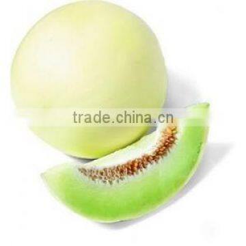 Honeydew Chinese Vigrous growing hybrid melon seeds