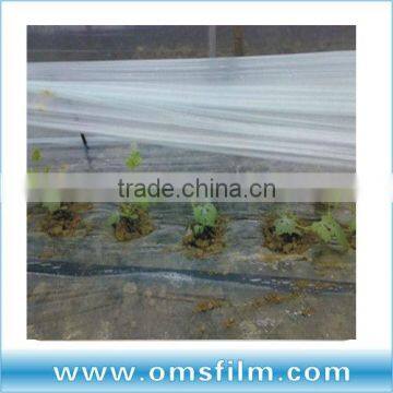 20mil Transparent Reflective Greenhouse Film