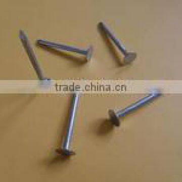 bright umbrella head roofing nail