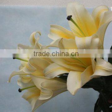 Exquisite hot selling fresh lilies flower on sale