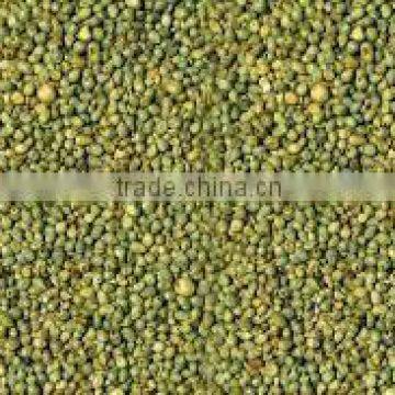 Green Millet