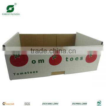 FOOD TRAY PACKAGING