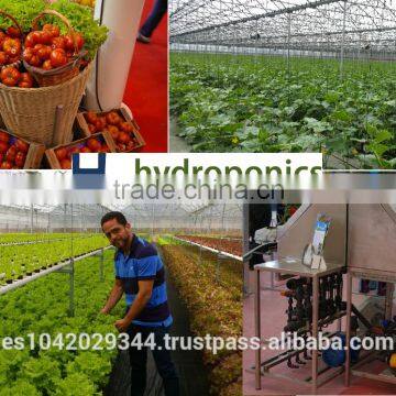 Versatile Tropical Greenhouses for NFT, Hydroponics and Drip Irrigation