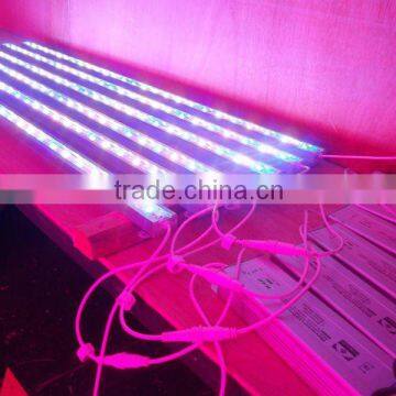 Waterproof Aquarium LED Light