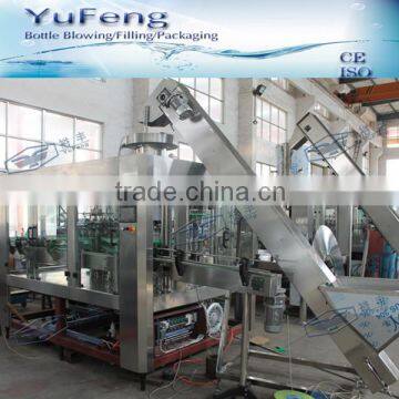 Automatic Glass Bottled Beer Filling Machine / Machinery / Line