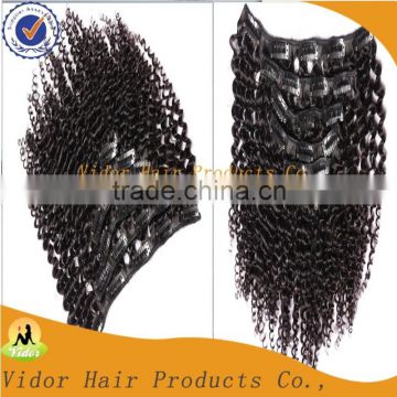 Full Head Full Cuticle Unprocessed Virgin Brazilian Afro Kinky Curly Clip In Hair Extension For African Women