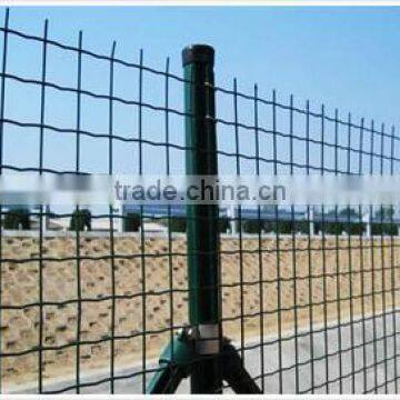 the best quality pvc coated holland wire mesh (factory)