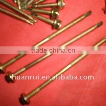 galvanized screw