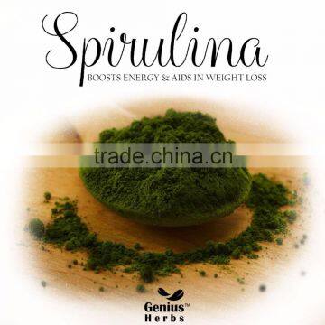 ISO Certified Spirulina Powder Bulk Supply