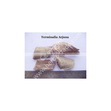TERMINALIA ARJUNA EXTRACT
