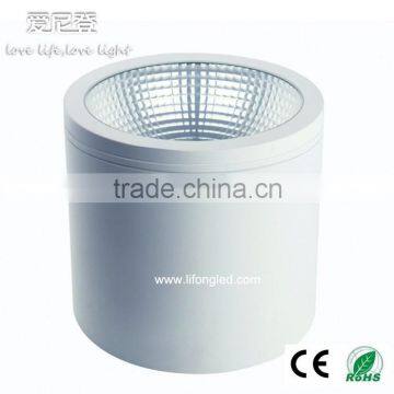 50W Led 8 inch COB Surface Mounted downlight,3000K downlight