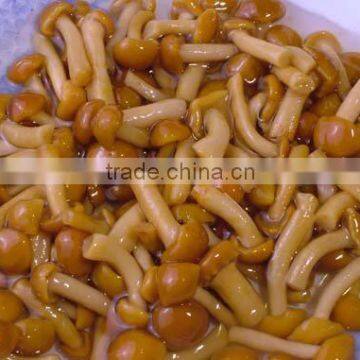 best canned mushroom wholesale