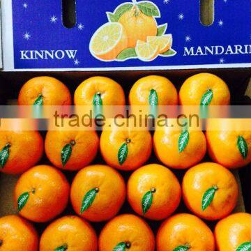 Kinnow fresh citrus mandarin orange