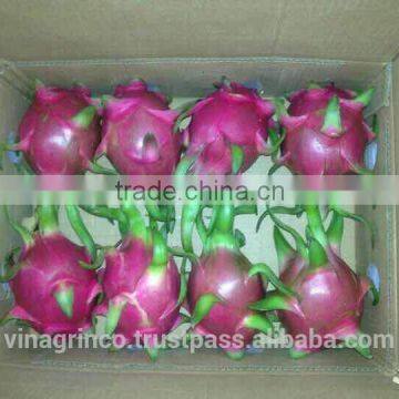 Vietnam Fresh Dragon Fruit