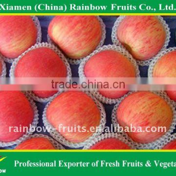 Chinese Fresh Red Apple