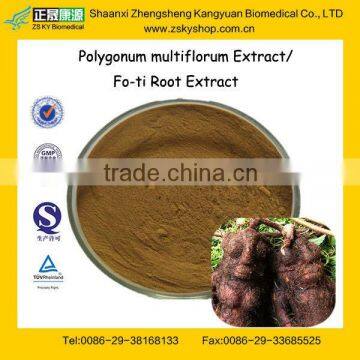 GMP Certified Factory Supply Natural Fo-ti Root Extract