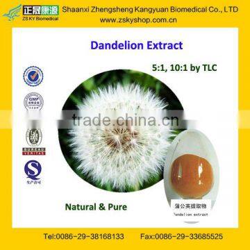 GMP Certified Manufacturer Supply Natural Dandelion Root Extract Powder