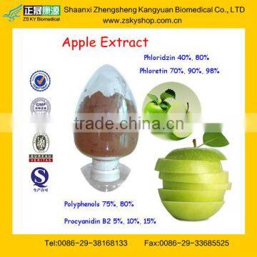 High Quality Apple Cider Vinegar Extract From Assessment Supplier