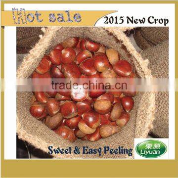 2015 new crop Dandong raw sweet organic chestnuts