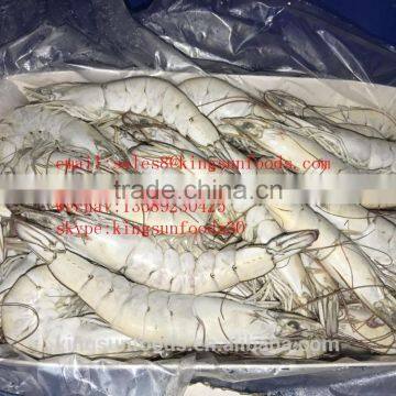 Frozen Shrimp Vannamei White Shrimp HLSO