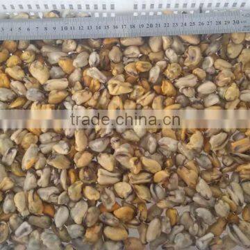 China Seafood Exporter Frozen Mussel Boiled Meat