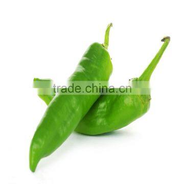 Chinese vigorous growth F1 hybrid yellow pepper seeds for sale