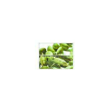 Cardamom Oil