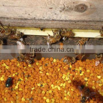 Pure Buckwheat Honey