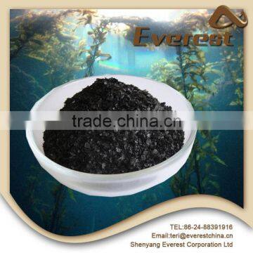 Factory Sale Supreme Competitive Rate Organic Fertilizer Companies