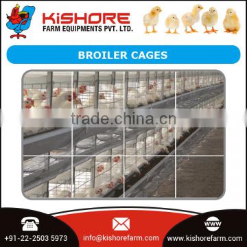 Layer Battery Cages