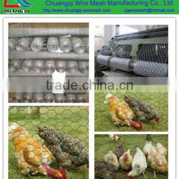 Cheap Price double twisted galvanized hexagonal wire mesh for rabbit cage mesh