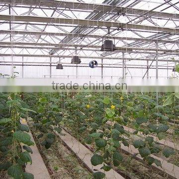 Vegetable Growing Greenhouse