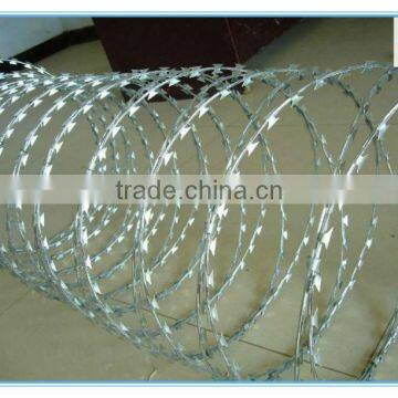 Galvanized Barbed Wire photo-4