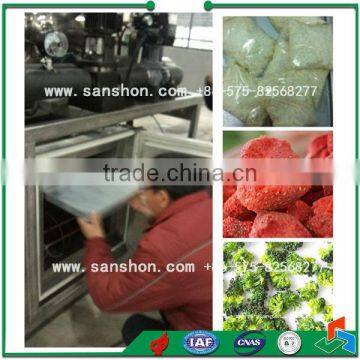 Mini Freeze Drying Machine photo-3
