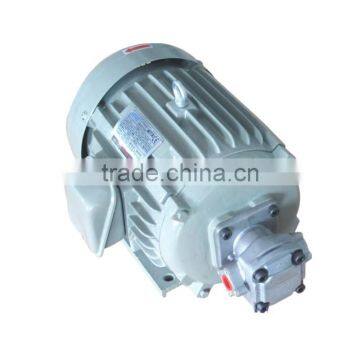Electric Motor With Hydraulic Pump photo-3