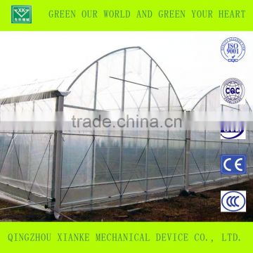 Agricultural Tunnel Arch Greenhouse Price