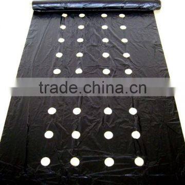 Agricultural Perforated Plastic Film Manufacturer photo-4
