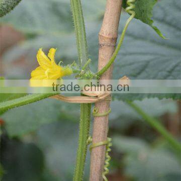 Paper Twist Tie With Plastic Net Bag photo-3