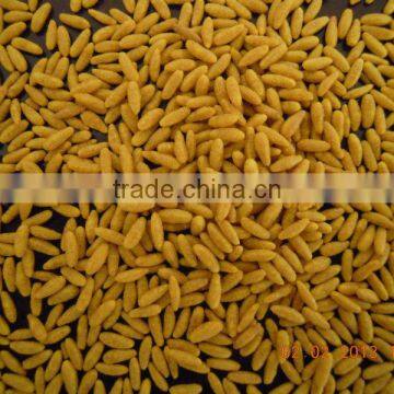 Instant Rice/Nutritional Rice Food /Artificial Rice Processing Line/machine photo-2