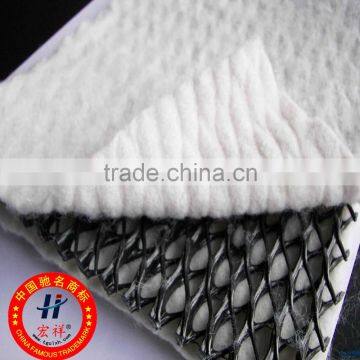 200g/7.6mm/200g Tri-dimension Composite Geonet for Drainage photo-2