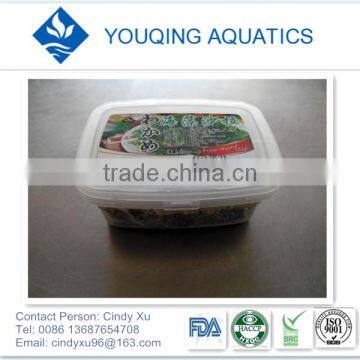 Undaria Pinnatifida Seaweed